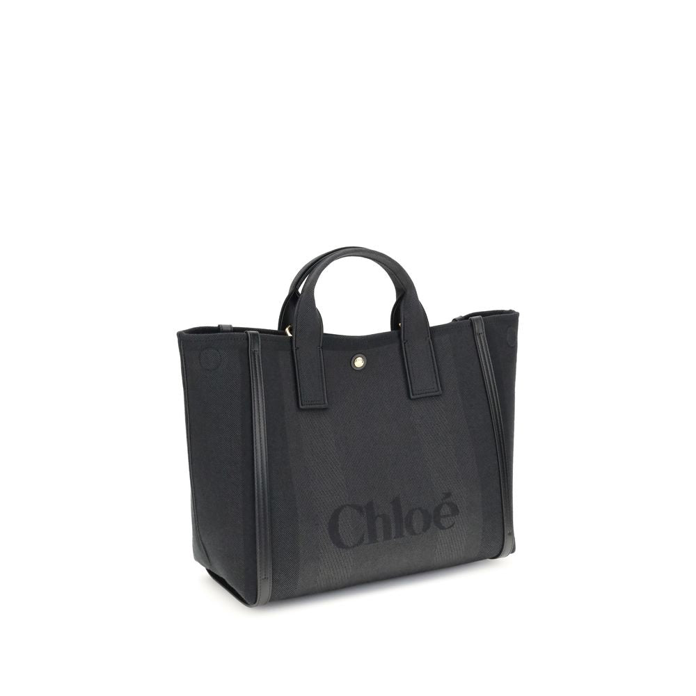 Carry Handbag