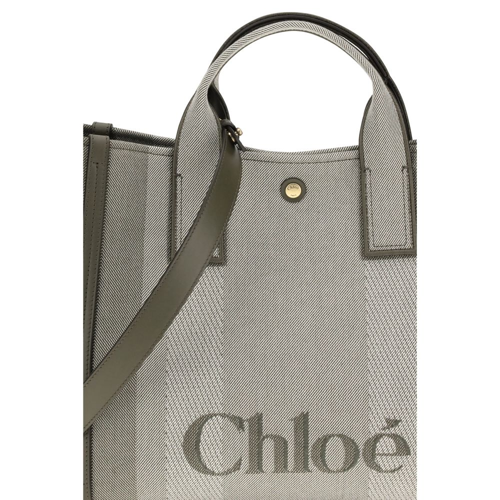 Carry Handbag