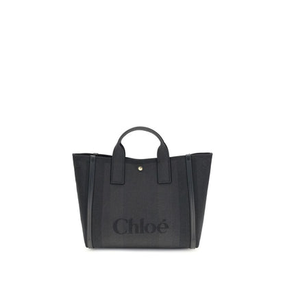 Carry Handbag
