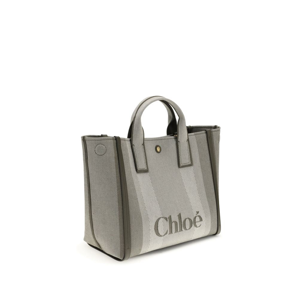 Carry Handbag